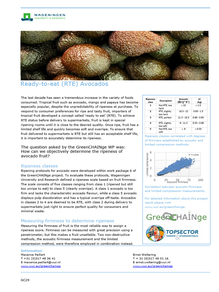 Factsheet GC29 - Ready-To-Eat (RTE) Avocados | PDF | Avocado ...