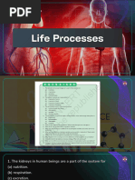 Class 10 Life Process Mind Map and Notes | PDF | Social Science ...