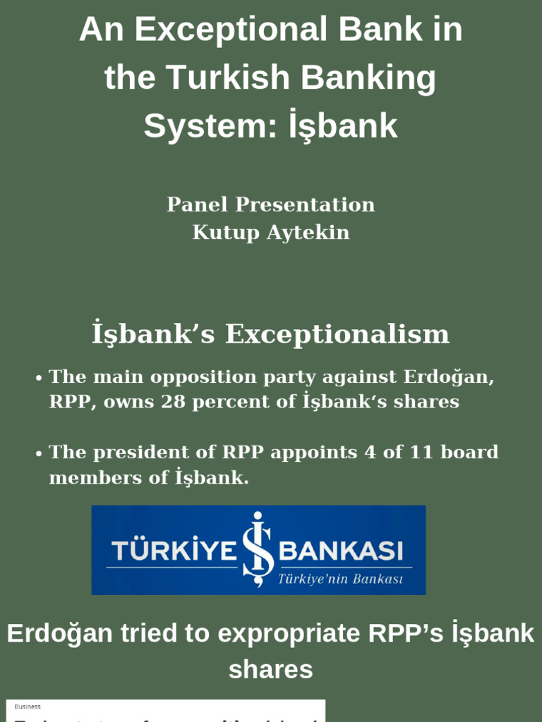 Panel | PDF | Finance & Money Management | Politics