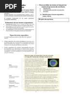 El Texto Expositivo Causa - Efecto - 5° Año