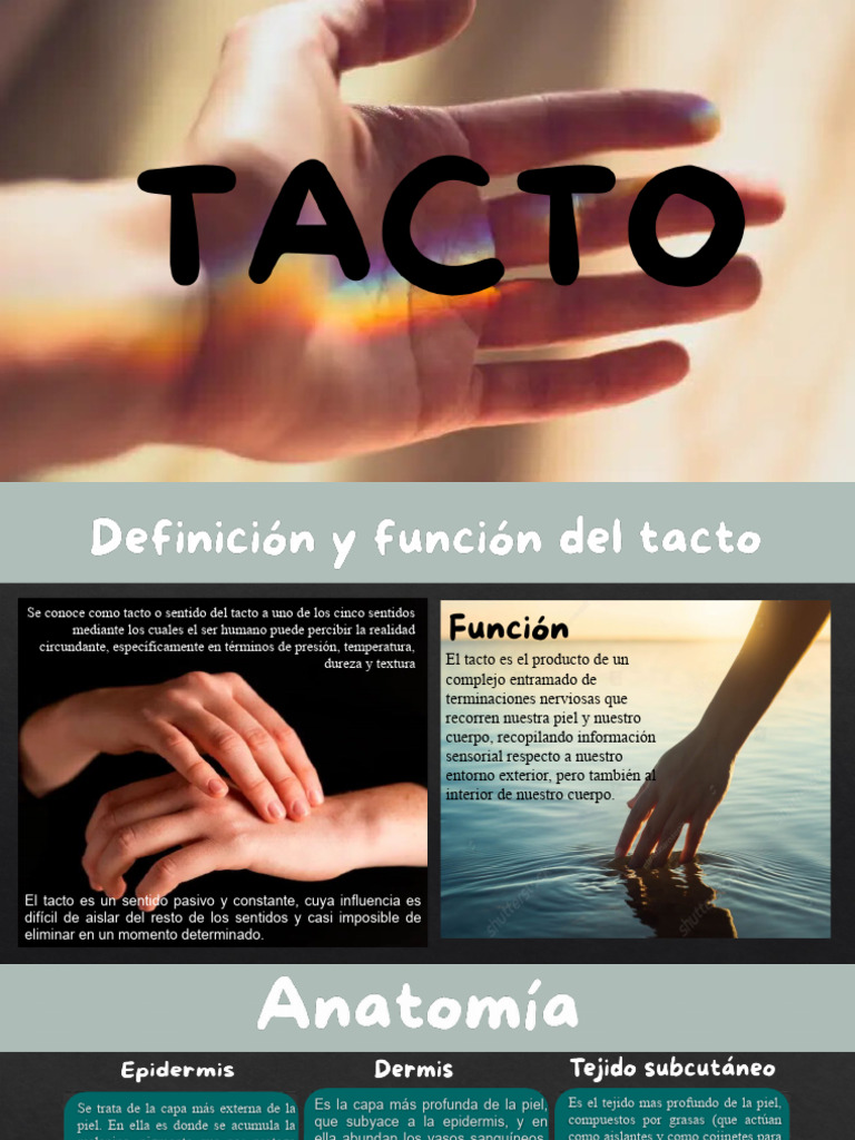 Definición y función del tacto humano | PDF | Relaciones personales ...