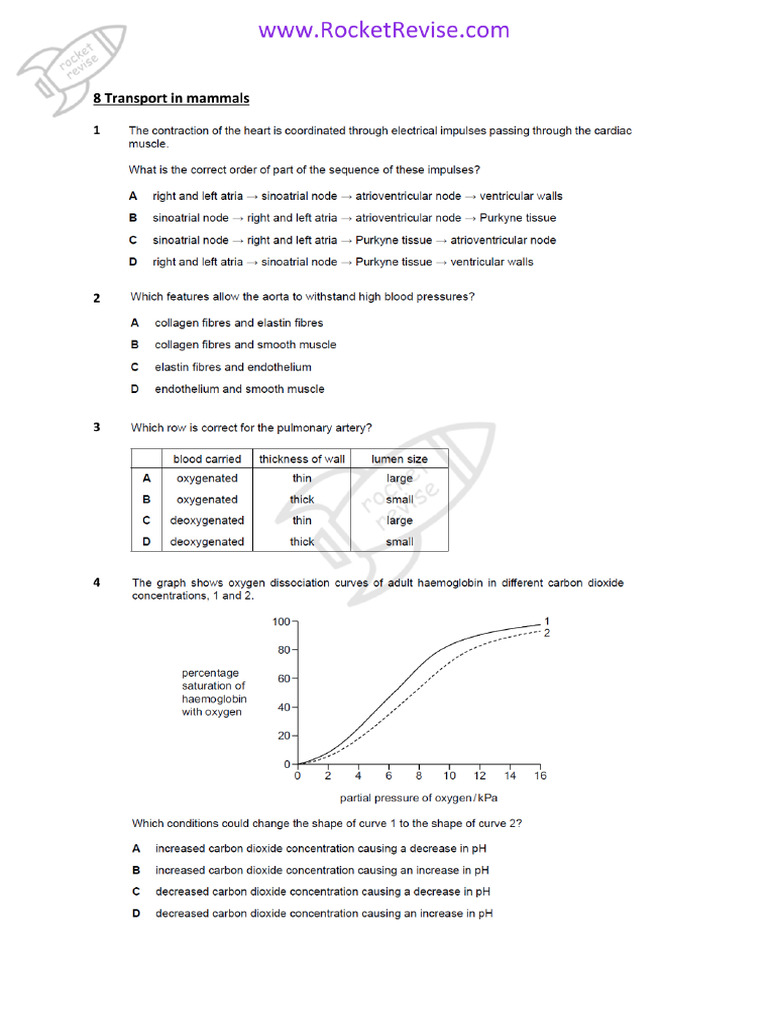 The Container Port Performance Index 2020 to 2024: Trends and lessons learned visual data 6
