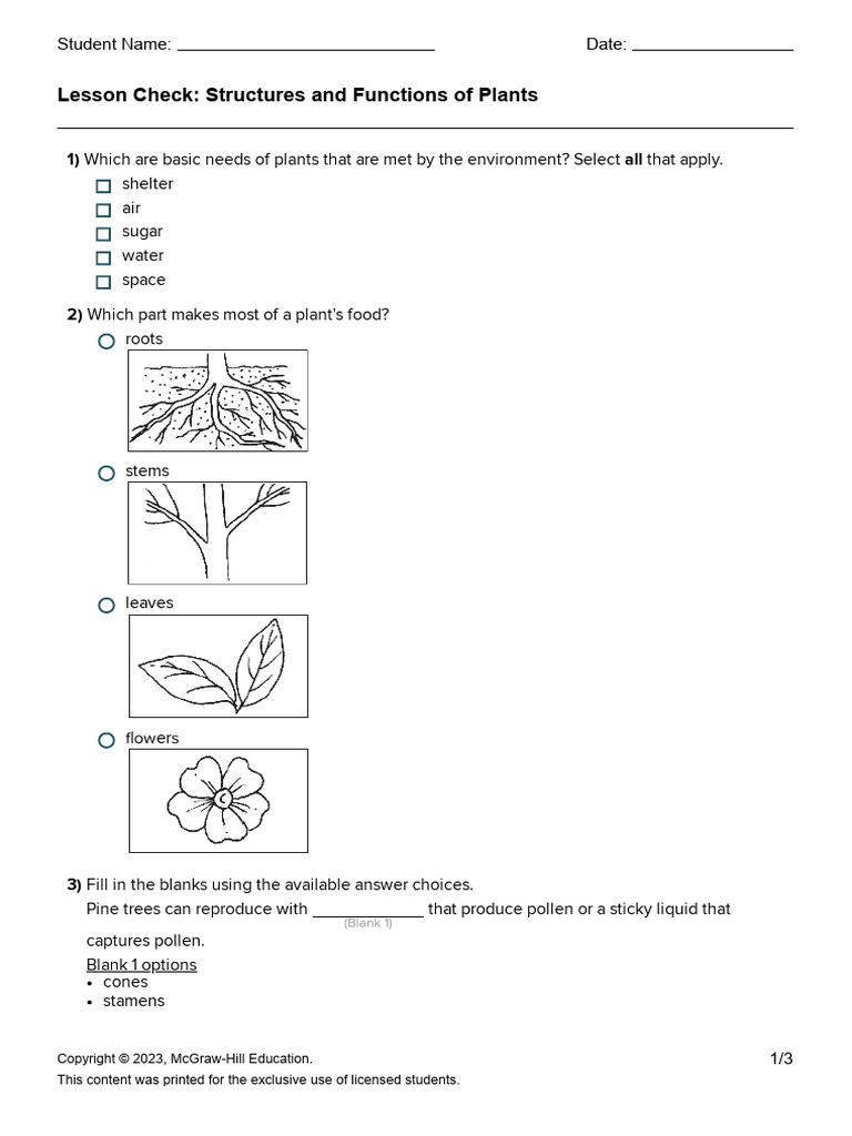 Lesson+Check_+Structures+and+Functions+of+Plants+(1) | PDF | Plants | Leaf