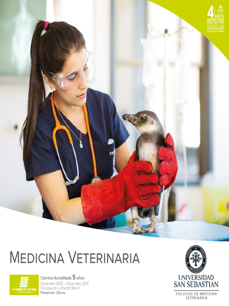 Medicina Veterinaria en USS: Formación y Oportunidades | PDF | Medicina ...