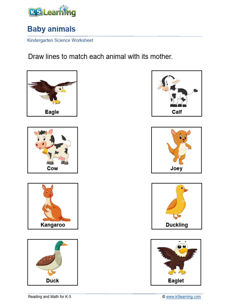 Baby animals worksheet PDF