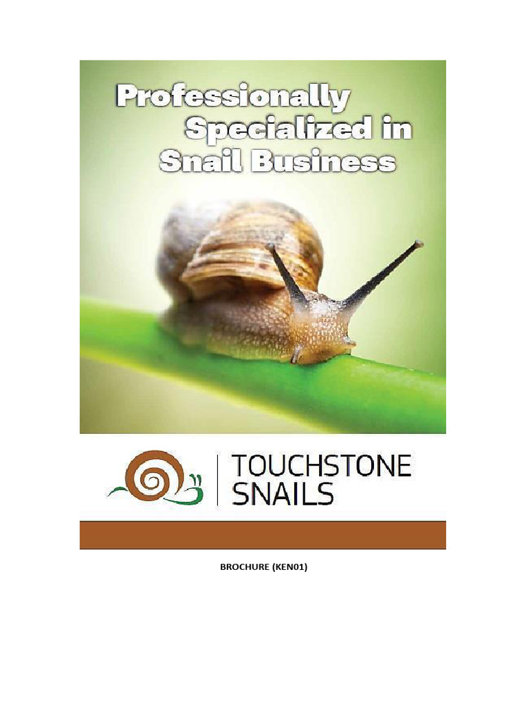 Snail Breeding Business Proposal | PDF | Plant Breeding | Meat