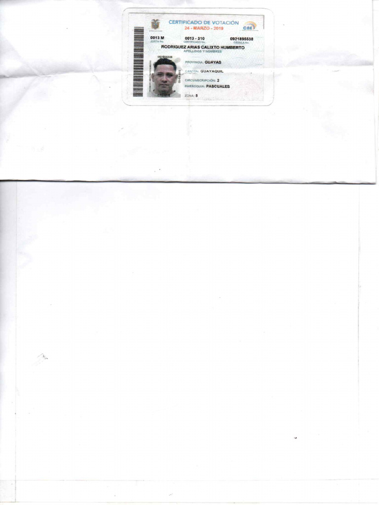 papeleta-de-votacion-pdf
