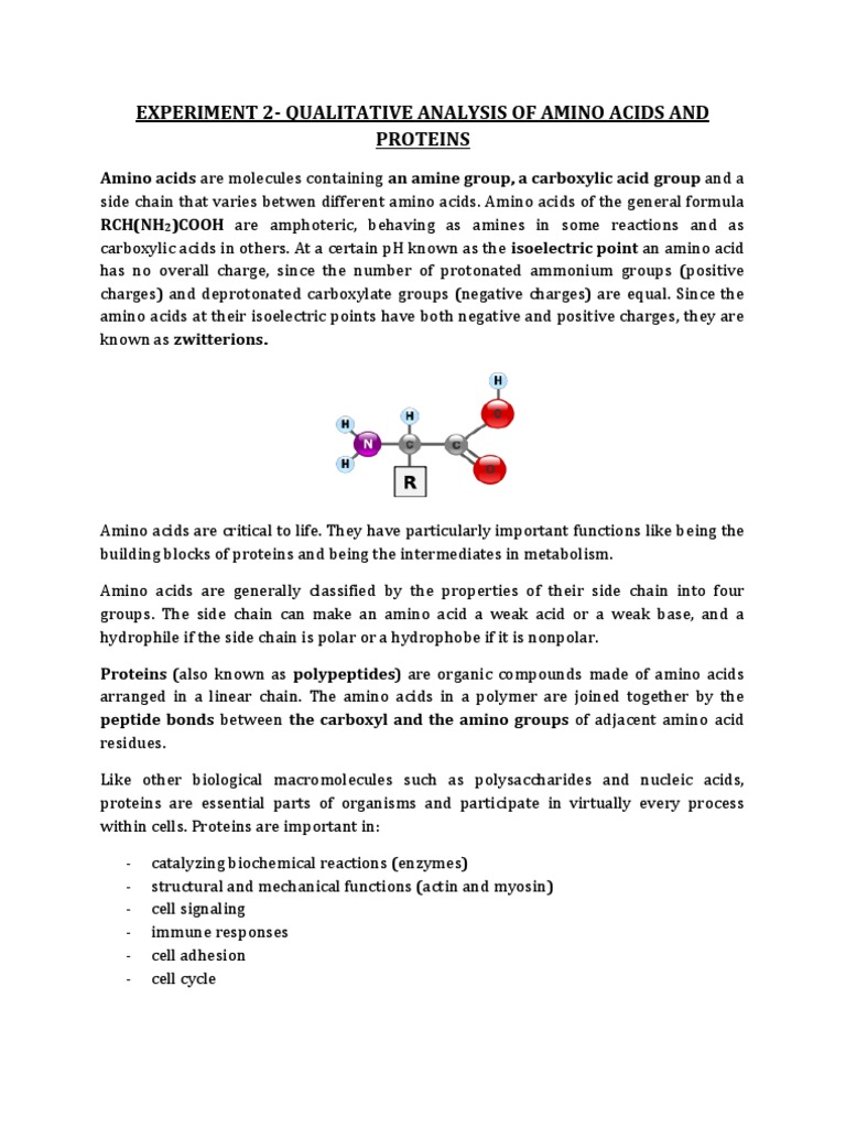 Experiment 2Qualitative Analysis Of Amino Acids And Proteins