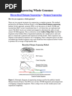 Whole Genome Shotgun Sequencing Explained | PDF | Whole Genome ...