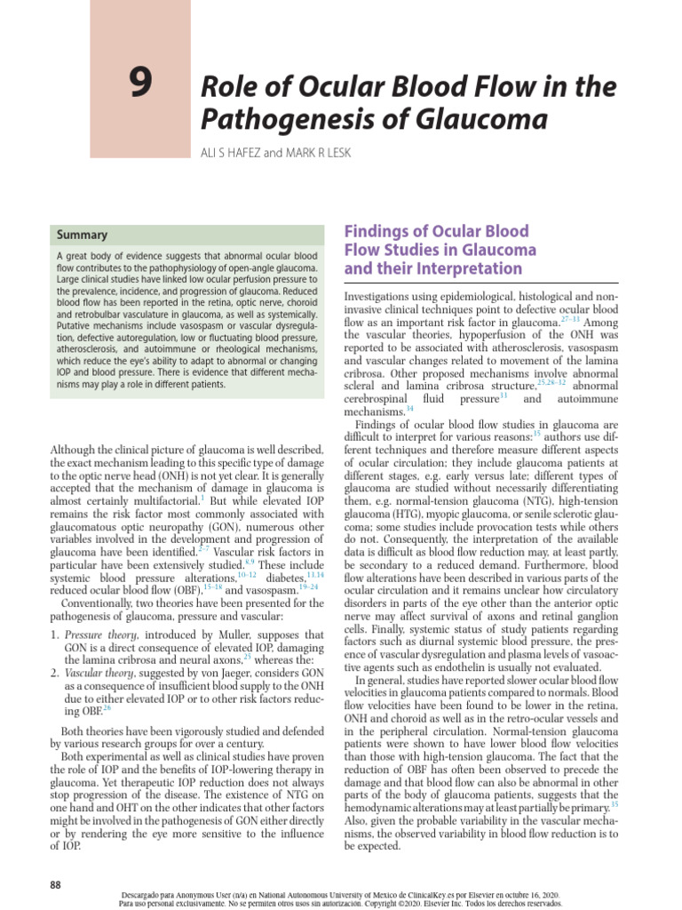 Role of Ocular Blood Flow in The Pathogenesis of Glaucoma | PDF ...