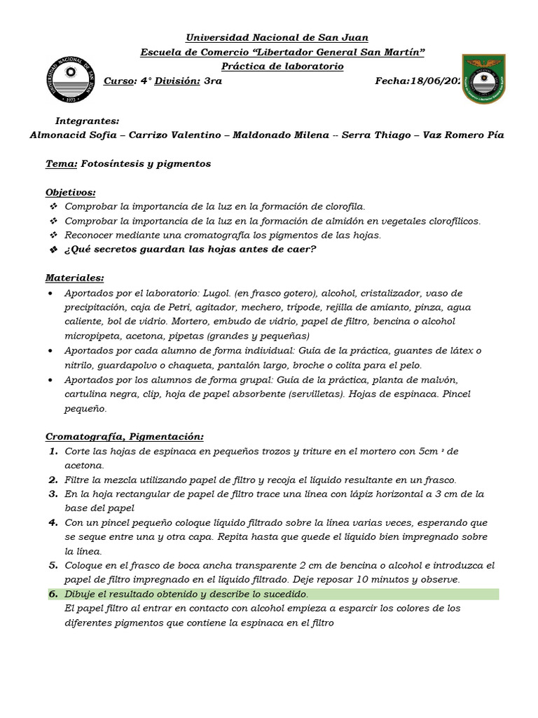 TP N 2 Bio Laboratorio | PDF | Plantas | Fotosíntesis