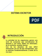 SistemaExcretor