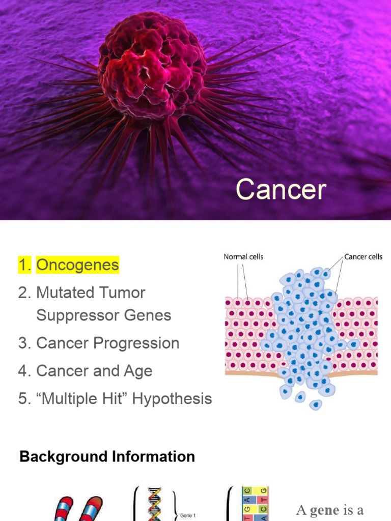 Cancer | Download Free PDF | Tumor Suppressor Gene | Oncogene