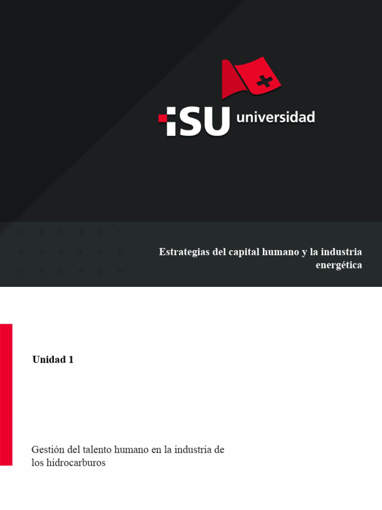 Estrategía Del Capital Humano en La Ind Energética U2 | PDF