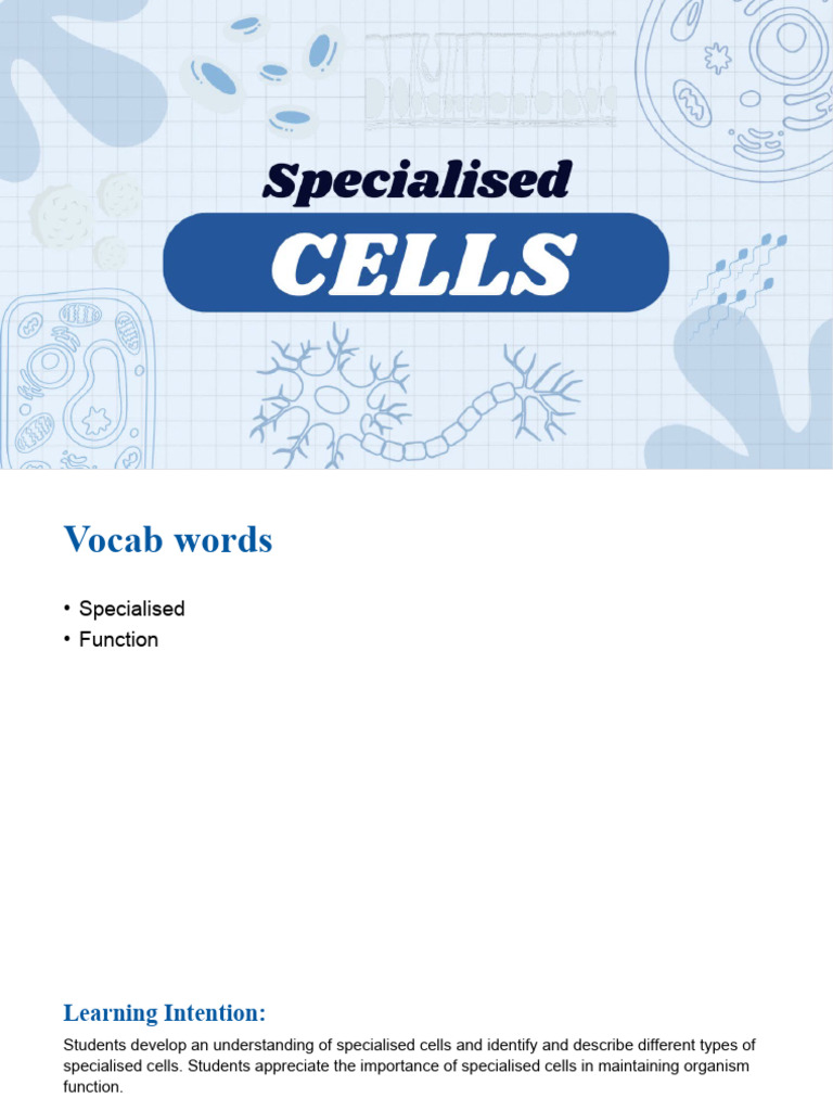 Understanding Specialized Human Cells | PDF | Cell (Biology) | Human Body