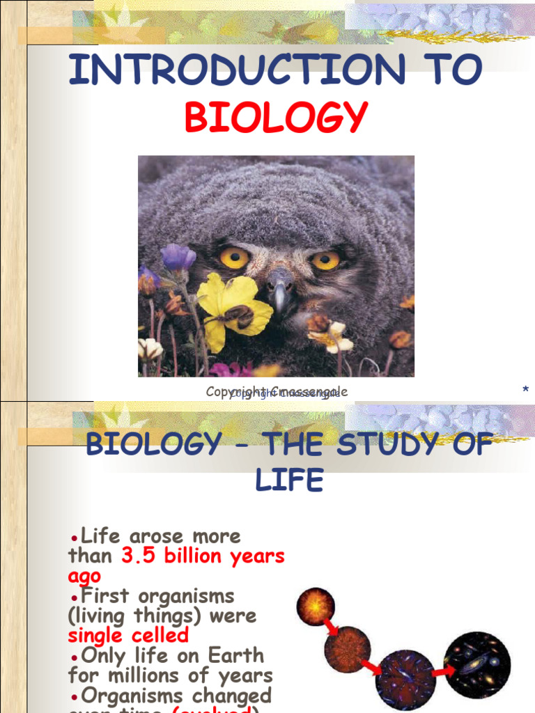 3 - Introduction To Biology | PDF | Cell (Biology) | Heredity