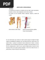 Escala de Bromage | PDF
