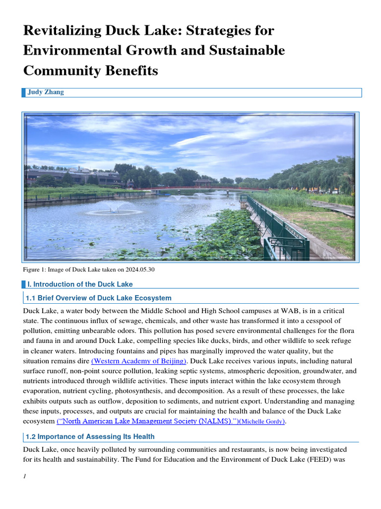 Revitalizing Duck Lake Essay | PDF | Eutrophication | Ecosystem