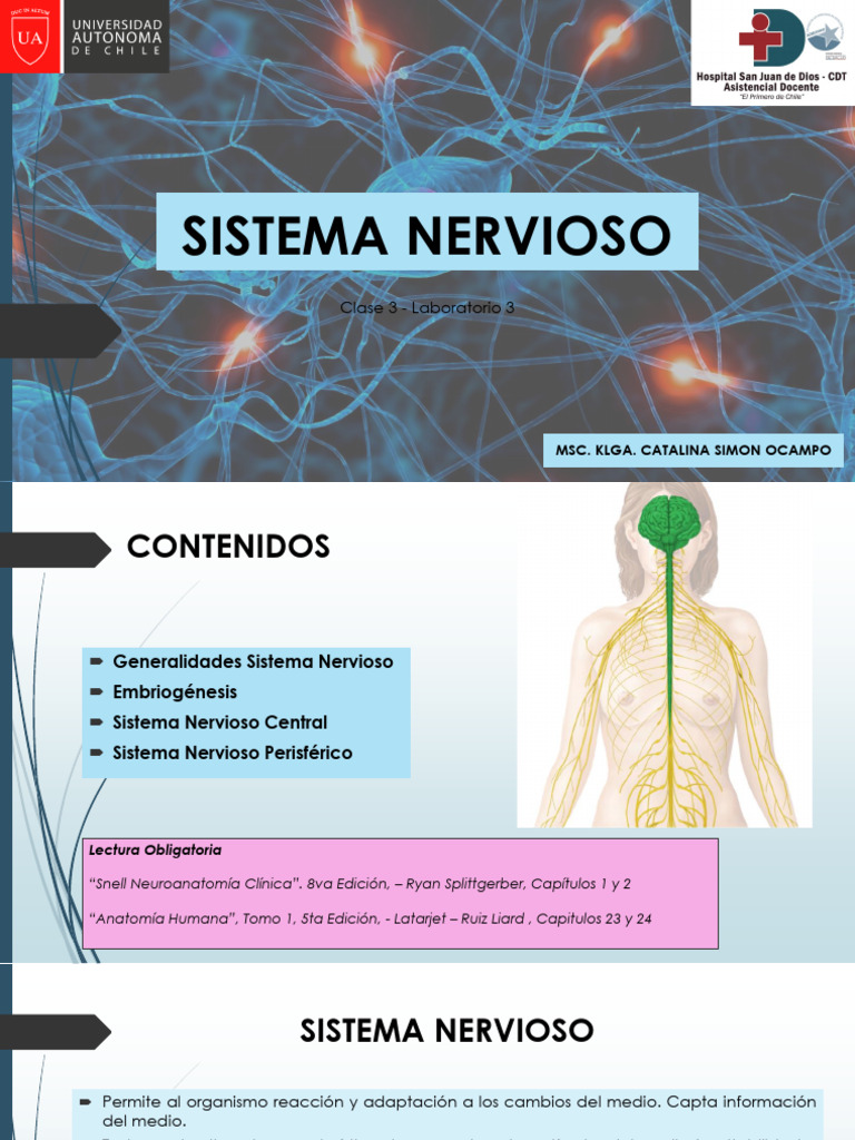 Anatomía General Clase 3 | PDF | Cerebro | Sistema nervioso