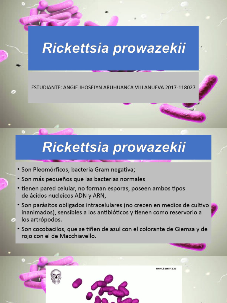 Rickettsia Prowazekii | PDF