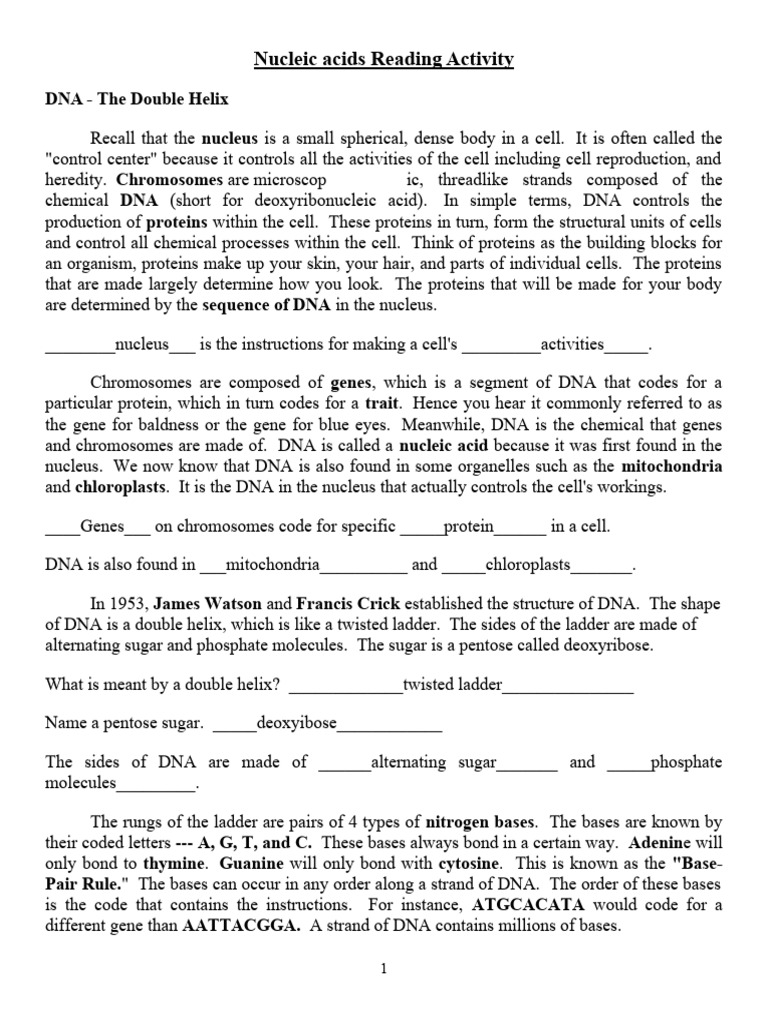 1 Nucleic acids reading activity PDF Dna Rna