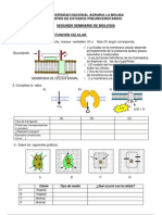 Bio Semi2 2011-II