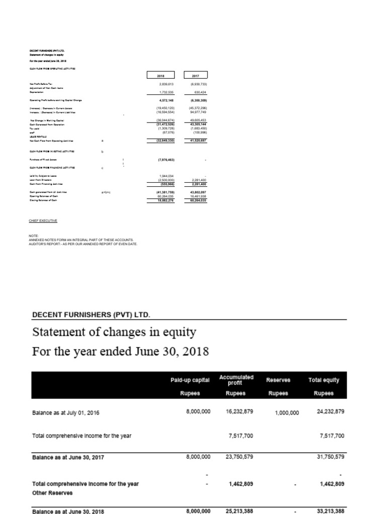 Decent Final Accounts 2018 | PDF | Equity (Finance) | Cash Flow Statement