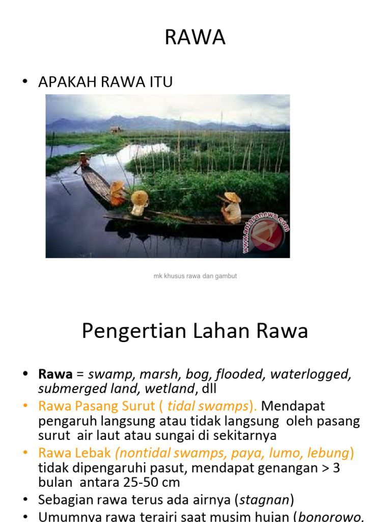 Pengertian Rawa | PDF