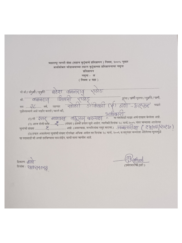 Small Declaration | PDF