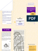 Folheto - Dia Internacional Da Pessoa Com Deficiência