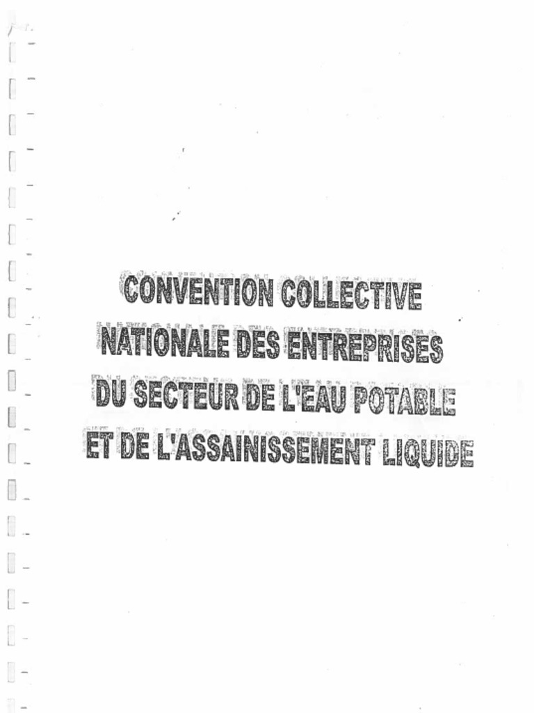 Ccn Entreprises Du Secteur De Leau Potable Et De Lassainissement