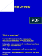 3.Animal Diversity and Symmetry