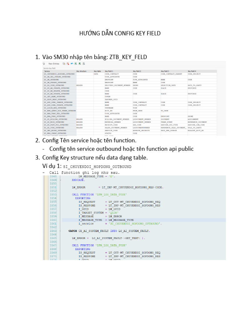 Hướng Dẫn Config Key Field | PDF