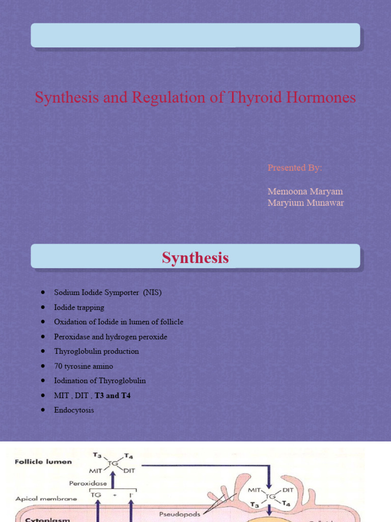 Synthesis and Regulation of Thyroid Hormones | PDF | Self-Improvement ...