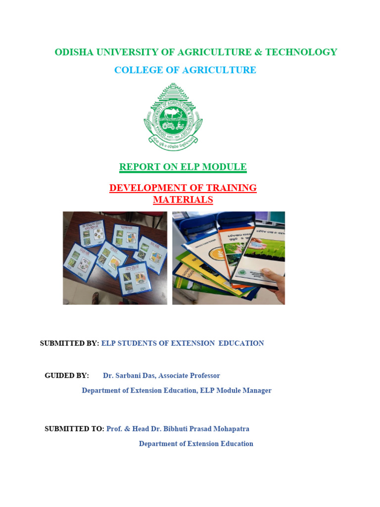 Report On Elp Module | PDF