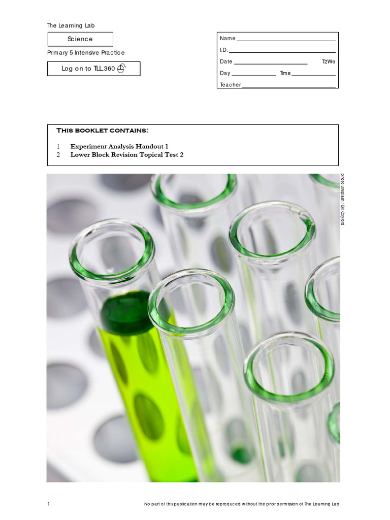 P5 Science Experiment Analysis Guide | PDF | Experiment | Ice