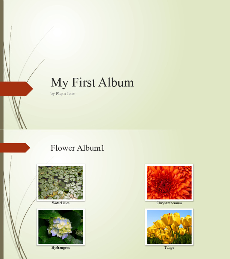 My Album | PDF