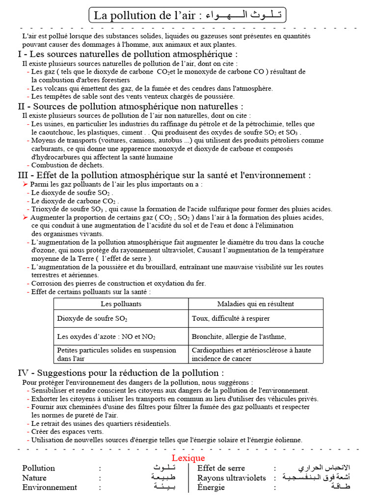 Pollution de l'air : sources et impacts | PDF | Pollution de l'air ...