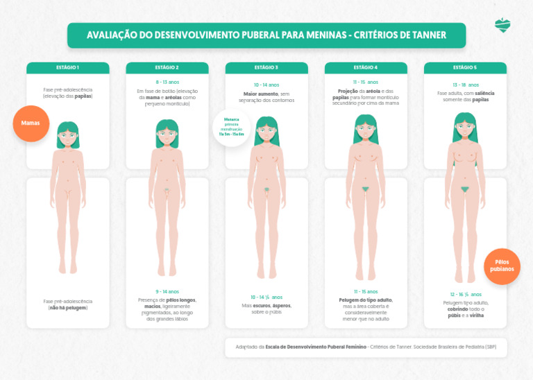 Avaliação Puberal em Meninas: Escala de Tanner | PDF | Puberdade | Infância