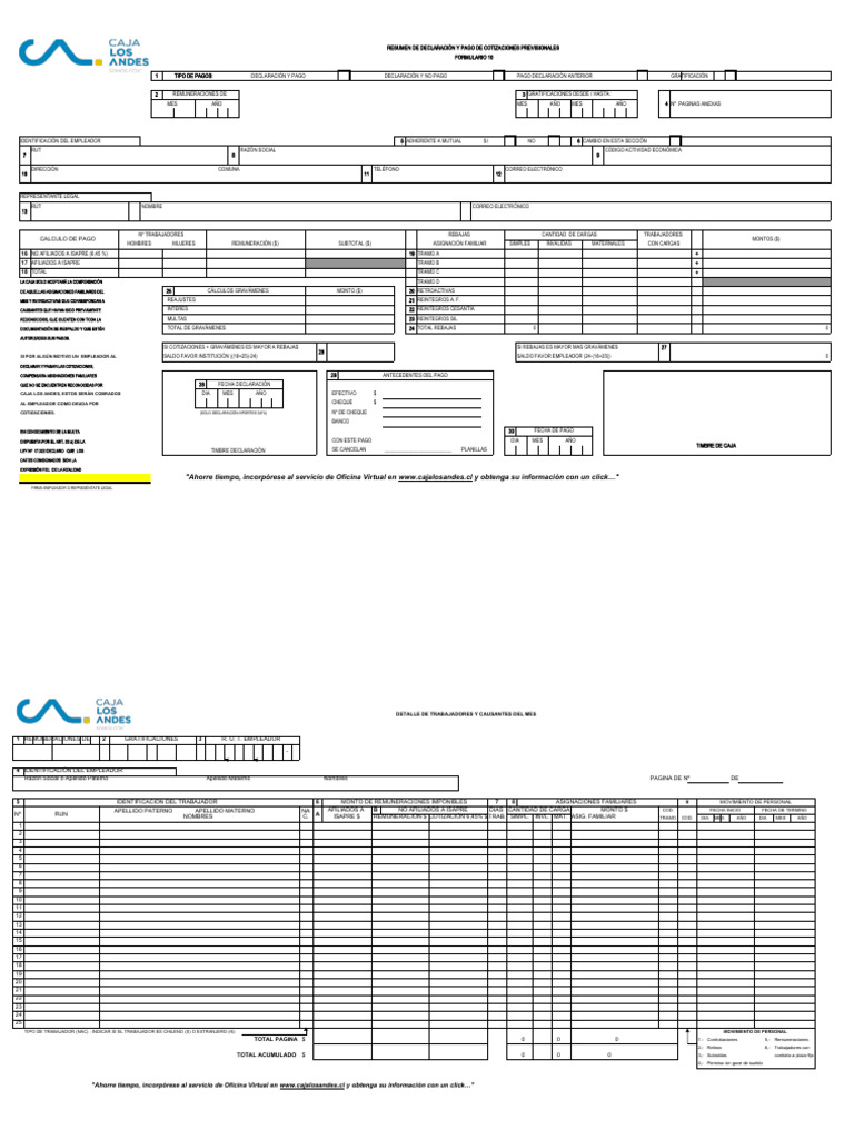 Formulario 10: Asignación Familiar Caja Los Andes | PDF