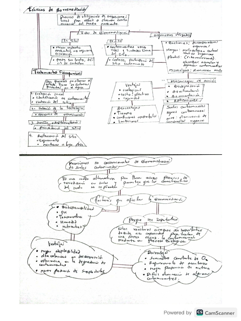 Mapa Conceptual Suelo Pdf