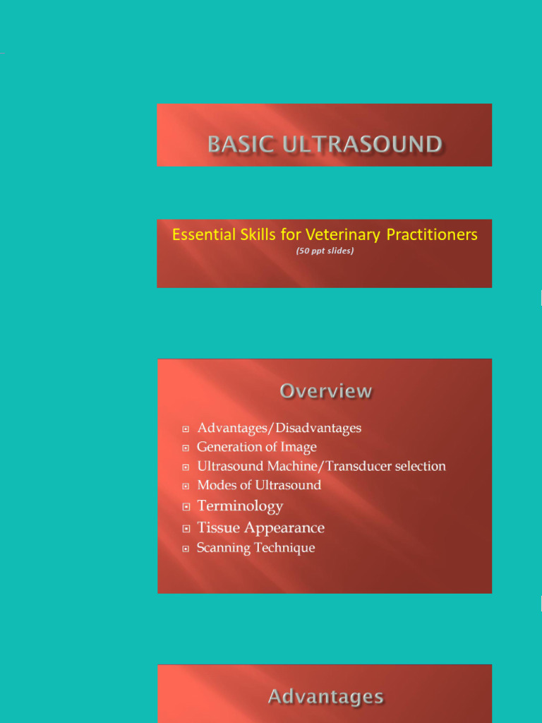USG- Basics | PDF | Liver | Medical Ultrasound