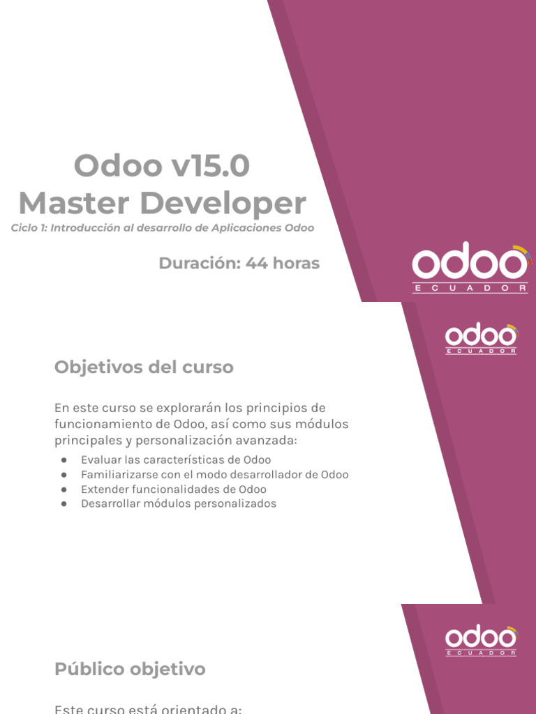 Brochure - Odoo Master Developer | PDF | Planificación de recursos ...