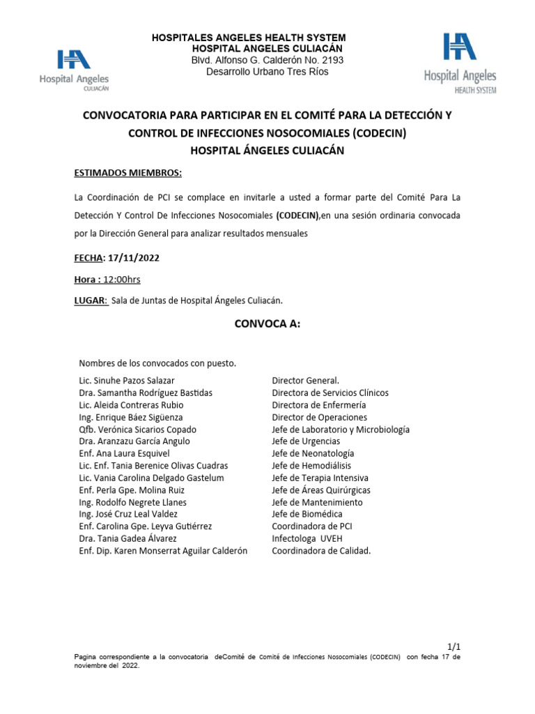 Convocatoria Comité CODECIN Hospital Ángeles | PDF | Hospital | Cuidado ...