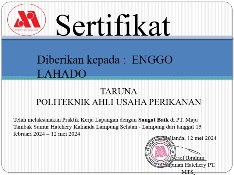Sertifikat Praktik Kerja Lapangan Enggo | PDF