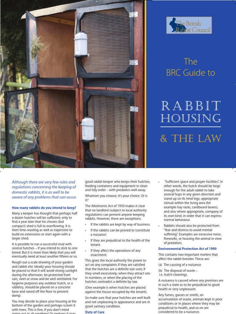 Rabbit Housing 1 | PDF | Rabbit | Nuisance