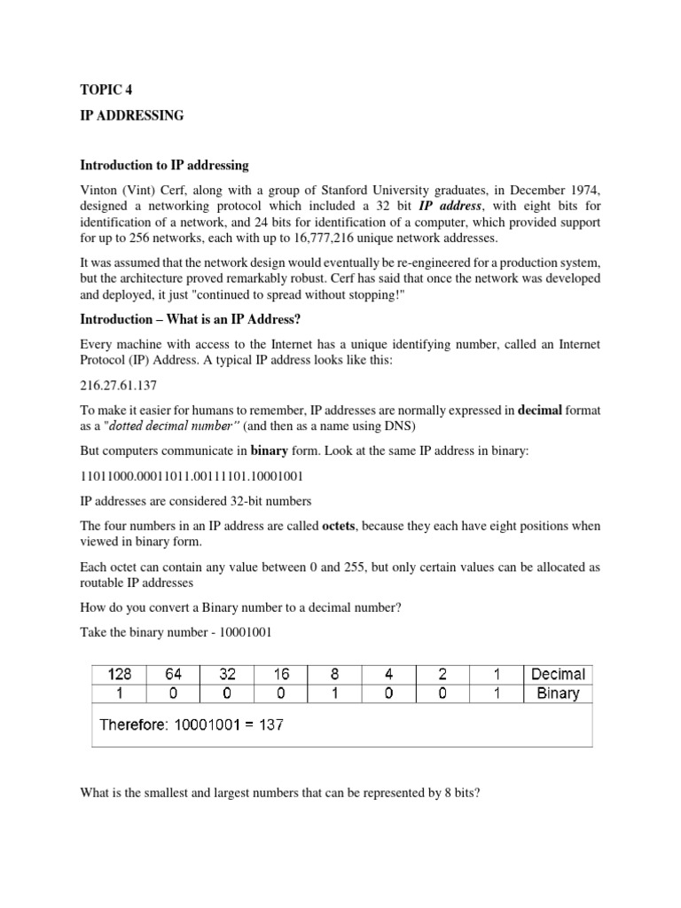 Understanding IP Addressing Basics | PDF | I Pv6 | Ip Address