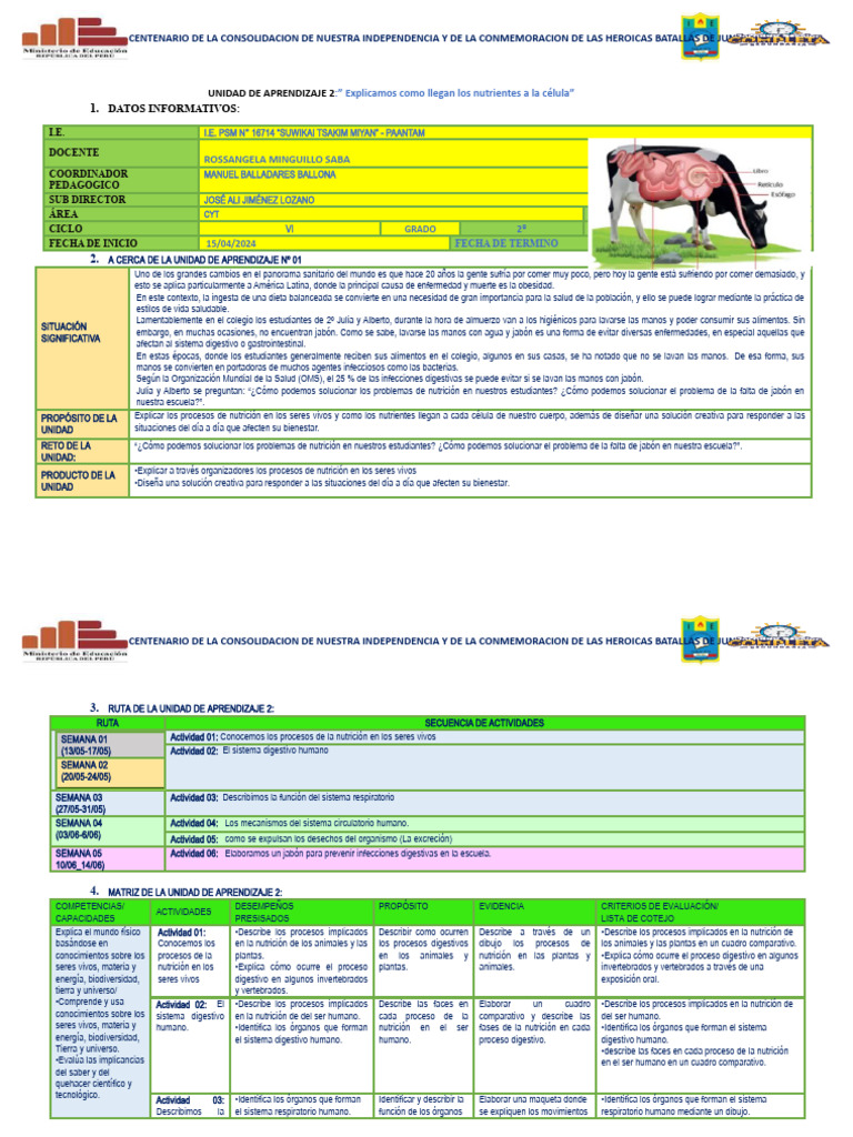 Unidad de Aprendizaje 2 Segundo Grado | PDF | Evaluación | Aprendizaje