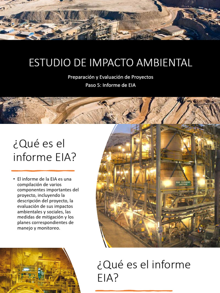 10 Estudio de Impacto Ambiental | PDF | Evaluación de impacto ambiental