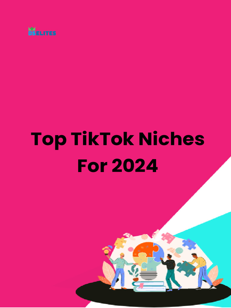 Building a Niche on TikTok